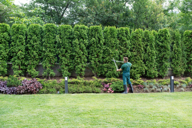 Best Lawn Watering Services  in Moyock, NC